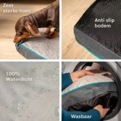 CozySense® - Orthopedisch Hondenkussen - Hondenkussen 60 X 40 Cm - Ook Geschikt Als Benchkussen & Hondenbed - Hondenkussen Bank - Traagschuim - Waterdicht - Wasbare Hoes - Maat S -Dierenwinkel 1200x1200 46