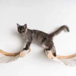 RHRQuality Wandmeubel Wandmontage Klimmuur Kat 53 X 43cm Luxe Hangmat XXL Creme Klim Wand Muur Krabpaal Katten Muurbevestiging -Dierenwinkel 1200x1200 487