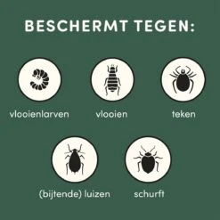 3 Stuks Vlooienband Kat Tekenband - 100% Natuurlijk Veilig En Waterbestendig -Dierenwinkel 1200x1200 503