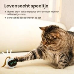 Otiume Interactieve Speelbal - Slimme Interactieve Jaag Speeltje Voor Katten - Kattenspeeltjes - Intelligente Jaagbal - AI -USB Oplaadbaar - LED - Blauw 12 Otiume Interactieve Speelbal - Slimme Interactieve Jaag Speeltje Voor Katten - Kattenspeeltjes - Intelligente Jaagbal - AI -USB Oplaadbaar - LED - Blauw -Dierenwinkel 1200x1200 513