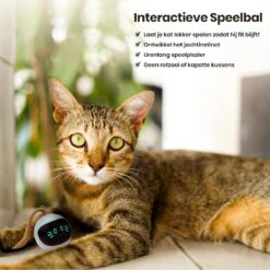 Otiume Interactieve Speelbal - Slimme Interactieve Jaag Speeltje Voor Katten - Kattenspeeltjes - Intelligente Jaagbal - AI -USB Oplaadbaar - LED - Blauw 13 Otiume Interactieve Speelbal - Slimme Interactieve Jaag Speeltje Voor Katten - Kattenspeeltjes - Intelligente Jaagbal - AI -USB Oplaadbaar - LED - Blauw -Dierenwinkel 1200x1200 514