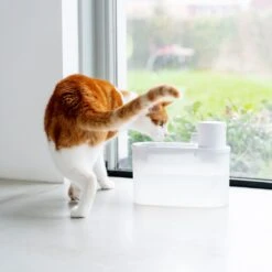 Hoopo® Agua - DRAADLOZE Waterfontein Katten - SMART Waterfontein Katten - UVC Disinfectie - 2 Liter - Automatische Katten Fontein -Dierenwinkel 1200x1200 527