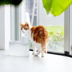 Hoopo® Agua - DRAADLOZE Waterfontein Katten - SMART Waterfontein Katten - UVC Disinfectie - 2 Liter - Automatische Katten Fontein -Dierenwinkel 1200x1200 528