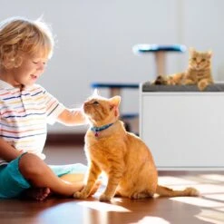 Relaxdays Kattenbak Ombouw - Met Zitkussen - Kattenhuis Wit - Kattenmeubel - Kattenkast -Dierenwinkel 1200x1200 544