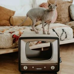 District 70 TELLY - Retro TV Krabmeubel - Instagrammable Kartonnen TV Voor Katten - 39 X 27 X 37 Cm 15 District 70 TELLY - Retro TV Krabmeubel - Instagrammable Kartonnen TV Voor Katten - 39 X 27 X 37 Cm -Dierenwinkel 1200x1200 549