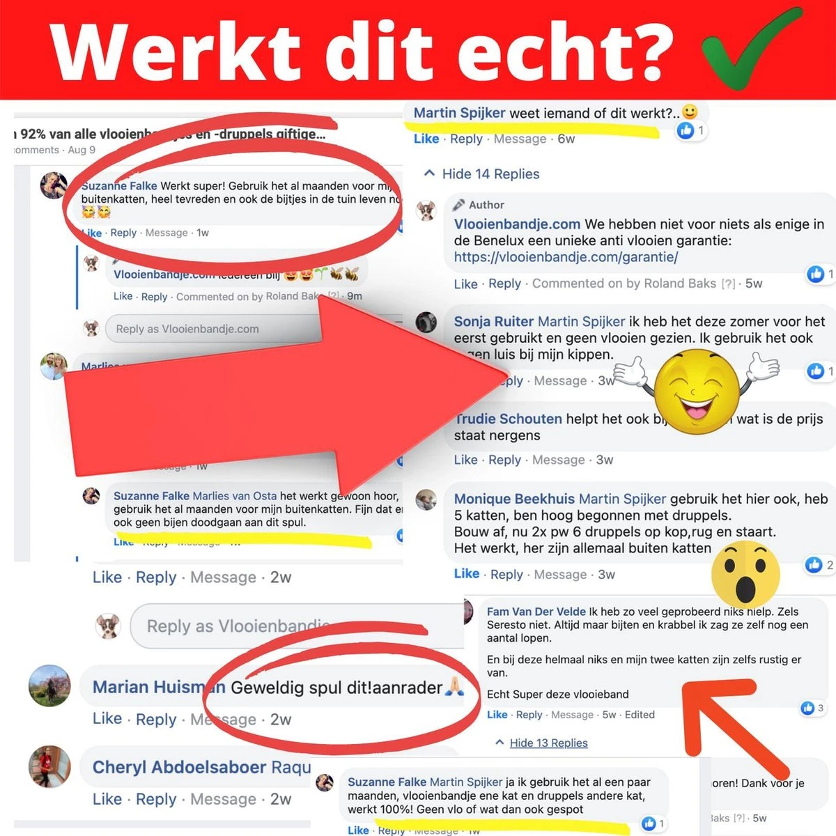 Natuurlijke Vlooiendruppels Voor Katten - Vanaf 4 Kg - 100% Natuurlijk - Vlooien - Zonder Giftige Pesticiden - 30 Ml - Speciale Formule Voor Katten - Vachtdruppels - Made In Holland 6 Natuurlijke Vlooiendruppels Voor Katten - Vanaf 4 Kg - 100% Natuurlijk - Vlooien - Zonder Giftige Pesticiden - 30 Ml - Speciale Formule Voor Katten - Vachtdruppels - Made In Holland - Afbeelding 6