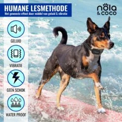 Nola & Coco® Oplaadbare Anti Blafband - 4 Kleuren - Zonder Schok - Waterdichte Diervriendelijke Blaf Halsband - Opvoedingshalsband - Voor Grote En Kleine Honden - Lichte Vibratie En Geluid - 3 Tot 60kg -Dierenwinkel 1200x1200 62