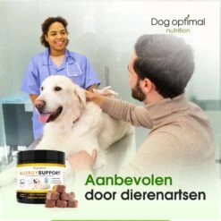 DOG OPTIMAL ANTI ALLERGY SUPPORT 120 Stuks - Allergie - Honden - Hondensnacks - Hondenkoekjes - Hondensupplementen - Honden - Puppy - Hondenvoeding - Weerstand - Jeuk-hond - Jeuk 10 DOG OPTIMAL ANTI ALLERGY SUPPORT 120 Stuks - Allergie - Honden - Hondensnacks - Hondenkoekjes - Hondensupplementen - Honden - Puppy - Hondenvoeding - Weerstand - Jeuk-hond - Jeuk -Dierenwinkel 1200x1200 67