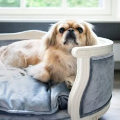 Lord Lou - George Roze Velvet S - Luxe Hondenmand - Luxe Kattenmand - 49x40x31 -Dierenwinkel 1200x1200 84