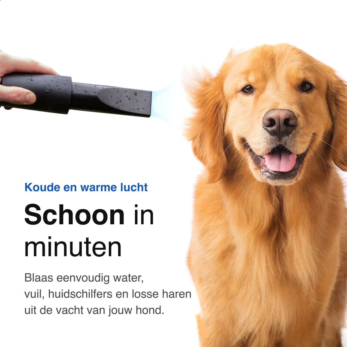 Vivid Green Waterblazer Met 3 Opzetstukken - Hondenfohn - Voor Honden - Met Geluiddemper - 2800W 6 Vivid Green Waterblazer Met 3 Opzetstukken - Hondenfohn - Voor Honden - Met Geluiddemper - 2800W - Afbeelding 6