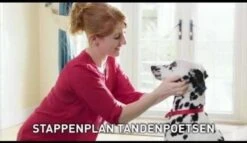 Beaphar Tandenborstel -Dierenwinkel 1200x697