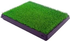 Merkloos Maoo Premium Hondentoilet - Geurbestendig & Hondvriendelijk Kunstgras - Uitneembare Opvangbak - Indoor En Outdoor - 63 X 50 Cm -Dierenwinkel 1200x698