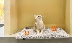 Merkloos Zelfverwarmende Dierendeken Zonder Stroom Thermo Deken Hond Kat Inclusief Adreslabel 70 X 47 Cm -Dierenwinkel 1200x730