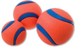 Chuckit! 10 Chuckit Ballen In Emmer - Chuckit - Veilig Voor Gebit - Hondenbal - Past In Werpstok 6 Chuckit! 10 Chuckit Ballen In Emmer - Chuckit - Veilig Voor Gebit - Hondenbal - Past In Werpstok -Dierenwinkel 1200x751 2