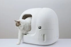 PETKIT® Pura MAX – Automatische Kattenbak – Elektrisch – Kattenbak Zelfreinigend – Bedienen Via De App -Dierenwinkel 1200x798 2