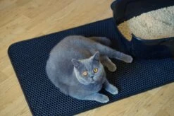 Merkloos Tastelio XXL Kattenbakmat 75x55cm - Groot Kattenbak Mat Met Innovatieve Honingraatstructuur - Dubbele Waterdichte Laag - Katten Bak Mat Met Eenvoudige Reiniging Grit Opvanger -Dierenwinkel 1200x799 15
