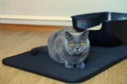 Merkloos Tastelio XXL Kattenbakmat 75x55cm - Groot Kattenbak Mat Met Innovatieve Honingraatstructuur - Dubbele Waterdichte Laag - Katten Bak Mat Met Eenvoudige Reiniging Grit Opvanger -Dierenwinkel 1200x799 16