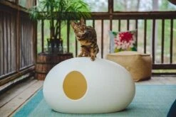 SinDesign Poopoopeedo Kattenbak - Zwart -Dierenwinkel 1200x800 13