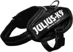 Julius K9 K9®Powertuig, S - Mini, Zwart -Dierenwinkel 1200x850