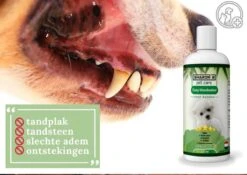 Easy Mondwater Voor Honden - 237 Ml - Tegen Stinkende Adem - Tandplak - Tandsteen - Tandvleesproblemen -Dierenwinkel 1200x852 2