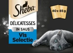 Sheba Delicatesse Katten Natvoer - Vis - 40 X 85 Gr -Dierenwinkel 1200x863 2