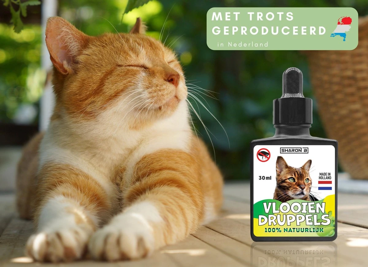Natuurlijke Vlooiendruppels Voor Katten - Vanaf 4 Kg - 100% Natuurlijk - Vlooien - Zonder Giftige Pesticiden - 30 Ml - Speciale Formule Voor Katten - Vachtdruppels - Made In Holland 5 Natuurlijke Vlooiendruppels Voor Katten - Vanaf 4 Kg - 100% Natuurlijk - Vlooien - Zonder Giftige Pesticiden - 30 Ml - Speciale Formule Voor Katten - Vachtdruppels - Made In Holland - Afbeelding 5