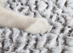 Merkloos Zelfverwarmende Dierendeken Zonder Stroom Thermo Deken Hond Kat Inclusief Adreslabel 70 X 47 Cm -Dierenwinkel 1200x878