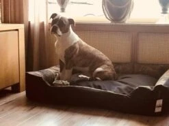 Hondenmand Cordura XXXL – Donkergrijs - 125 X 90 X 24 Cm -Dierenwinkel 1200x900 14