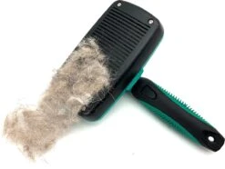 ElegaPet Hondenborstel Groen - Hondenhaar Verwijderen - Kat En Hondenkam - Slickerborstel Hond En Kat - Groomer - Ondervacht Kam Hond - Borstel Hond - Hondenborstel Langharig En Kortharig - Slickerborstel - Anti Klit/Knopen/Huidschilfers 12 ElegaPet Hondenborstel Groen - Hondenhaar Verwijderen - Kat En Hondenkam - Slickerborstel Hond En Kat - Groomer - Ondervacht Kam Hond - Borstel Hond - Hondenborstel Langharig En Kortharig - Slickerborstel - Anti Klit/Knopen/Huidschilfers -Dierenwinkel 1200x902