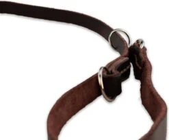 Multifunctionele Hondenriem - 220cm - Bruin - Leren Hondenriem - 100% Volnerfleer - Hondenriem Leer - Leiband Hond -Dierenwinkel 1200x993