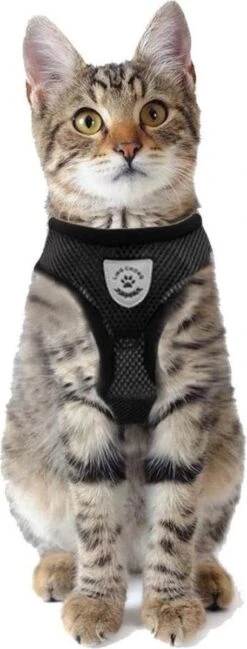 Merkloos Kattentuigje Met Looplijn | Zwart Kattenharnas | Easy Step In | Kattenriem | Kattenlijn | Kattentuig | Maat S -Dierenwinkel 457x1200