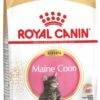 Royal Canin Maine Coon Kitten - Kattenvoer - 4 Kg