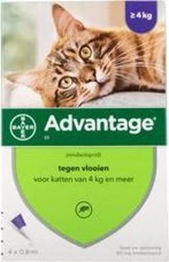 Advantage 80 Vlooiendruppelsl Kat Vanaf 4 Kg - 4 Pipetten -Dierenwinkel 773x1200 1