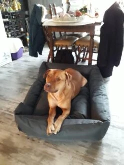 Hondenmand Cordura XXXL – Donkergrijs - 125 X 90 X 24 Cm -Dierenwinkel 900x1200 10