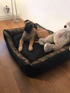 Hondenmand Cordura XXXL – Donkergrijs - 125 X 90 X 24 Cm -Dierenwinkel 900x1200 9